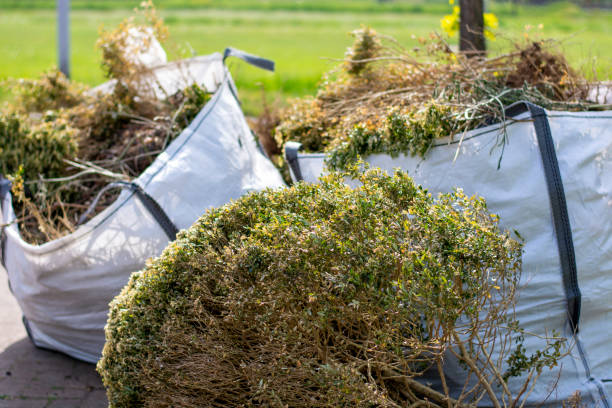 Best Mattress Removal Service  in Cave Springs, AR